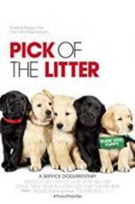 Watch Pick of the Litter Niter