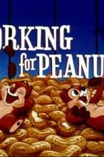 Watch Working For Peanuts Niter