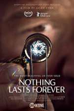 Nothing Lasts Forever niter