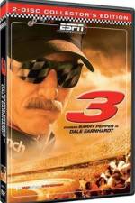 Watch 3 The Dale Earnhardt Story Niter