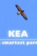 Watch Kea - The Smartest Parrot Niter