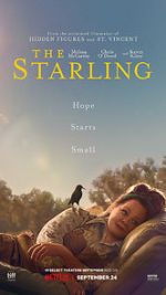 Watch The Starling Niter