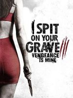 Watch I Spit on Your Grave: Vengeance is Mine Niter