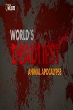 Watch Worlds Deadliest... Animal Apocalypse Niter