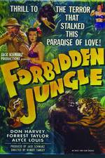 Watch Forbidden Jungle Niter