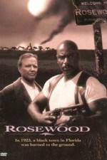 Watch Rosewood Niter