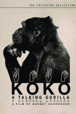 Watch Koko, le gorille qui parle Niter