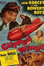 Watch Clipped Wings Niter