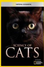 Watch National Geographic Science of Cats Niter