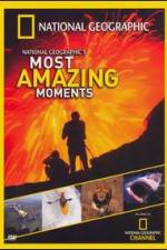Watch National Geographics Most Amazing Moments Niter