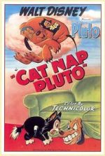 Watch Cat Nap Pluto Niter