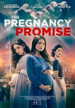 Watch The Pregnancy Promise Niter