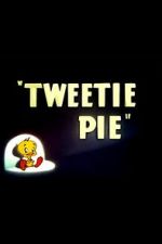 Watch Tweetie Pie Niter