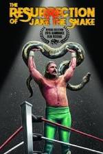 Watch The Resurrection of Jake The Snake Roberts Niter