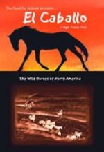 Watch El Caballo: The Wild Horses of North America Niter