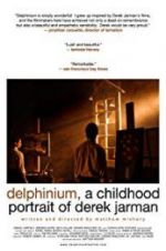 Watch Delphinium: A Childhood Portrait of Derek Jarman Niter