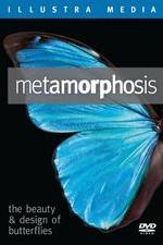 Watch Metamorphosis: The Beauty and Design of Butterflies Niter