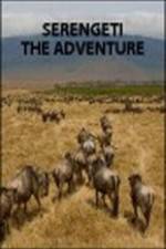 Watch Serengeti: The Adventure Niter