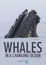Watch Whales in a Changing Ocean (Short 2021) Niter