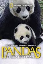 Watch Pandas: The Journey Home Niter