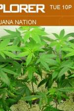 Watch Marijuana Nation Niter