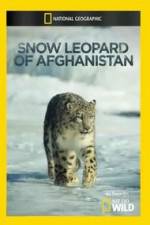 Watch Snow Leopard of Afghanistan Niter