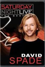 Watch Saturday Night Live The Best of David Spade Niter