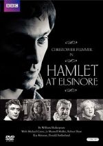 Watch Hamlet at Elsinore Niter