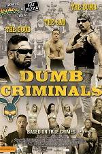 Watch Dumb Criminals: The Movie Niter