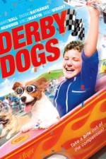 Watch Derby Dogs Niter