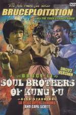 Watch Soul Brothers of Kung Fu Niter