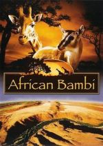 Watch African Bambi Niter