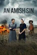 Watch An Amish Sin Niter