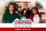 Watch A Chestnut Family Christmas Niter