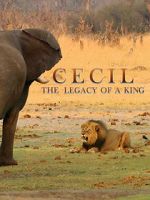 Watch Cecil: The Legacy of a King Niter