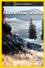 Watch National Geographic Yellowstone Winter Niter