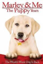 Watch Marley and Me The Puppy Years Niter