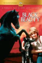 Watch Black Beauty Niter