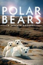 Watch Polar Bears: A Summer Odyssey Niter