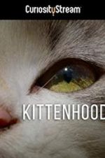 Watch Kittenhood Niter