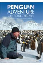 Watch Penguin Adventure With Nigel Marven Niter
