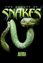 Watch Beauty of Snakes Niter