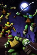 Watch Teenage Mutant Ninja Turtles: Ultimate Showdown Niter