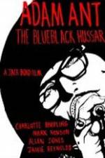 Watch The Blue Black Hussar Niter