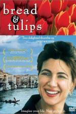 Watch Bread & Tulips Niter