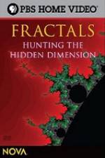 Watch NOVA - Fractals Hunting the Hidden Dimension Niter