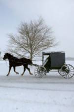 Watch Leaving Amish Paradise Niter