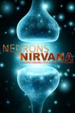 Watch Neurons to Nirvana Niter