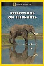 Watch Reflections on Elephants Niter