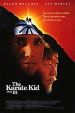 Watch The Karate Kid Part III Niter